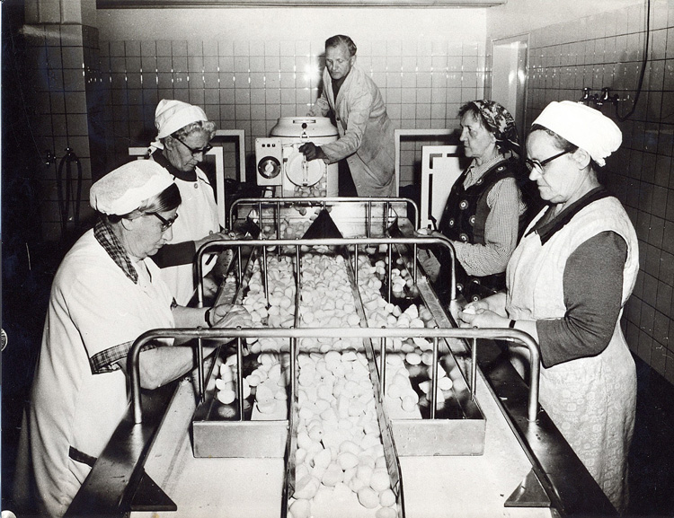 1960 - Automatische Schäl- und Waschanlagen werden in Betrieb genommen.